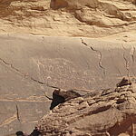 Désert wadi rum - Petroglyphes (37)