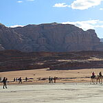 à pied ou sur les dromadaires désert wadi rum (117)